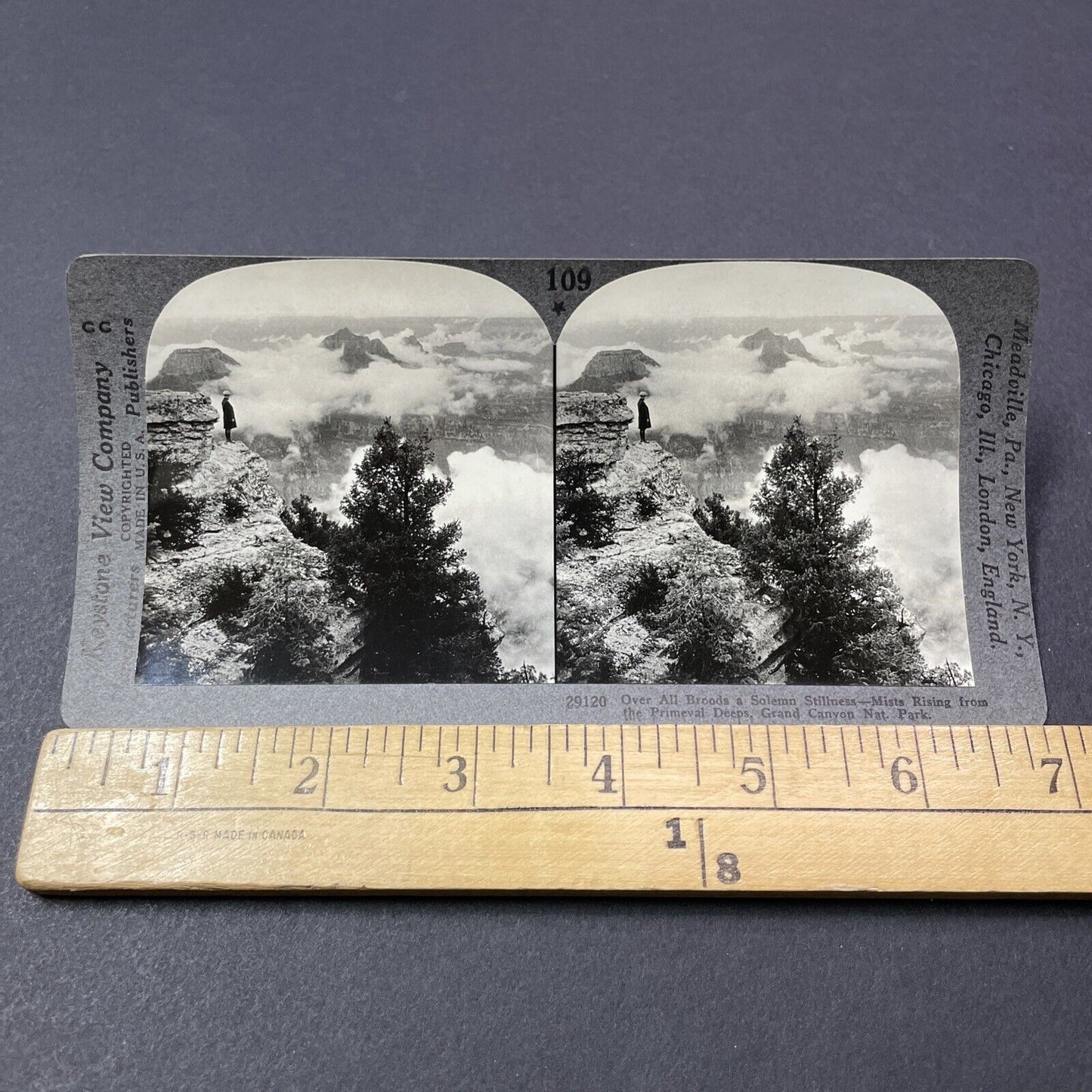 Antique 1910s Daredevil At Edge Of Grand Canyon Stereoview Photo Card V2163