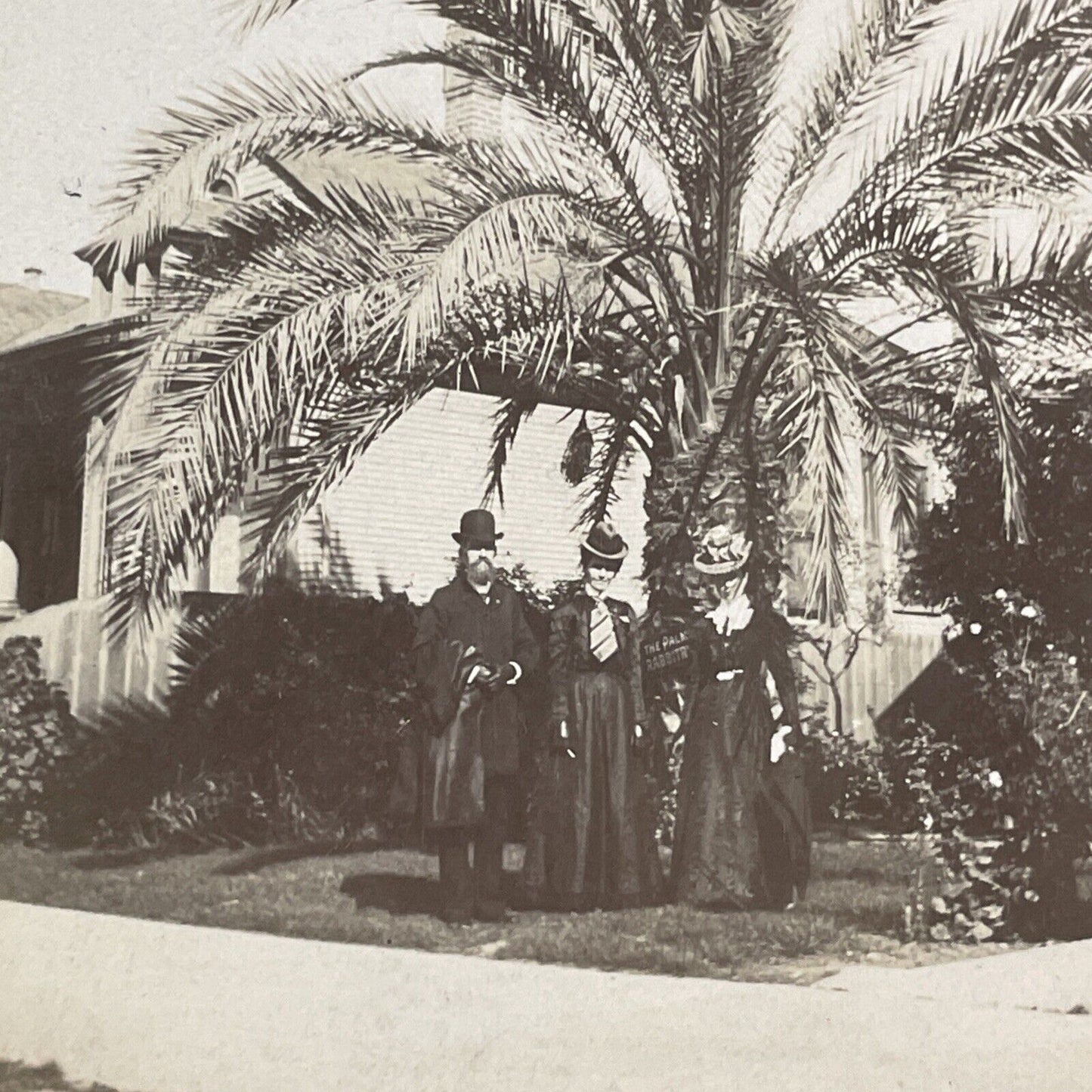 Standing Under A Palm Tree Stereoview Los Angeles California Antique c1885 X3621