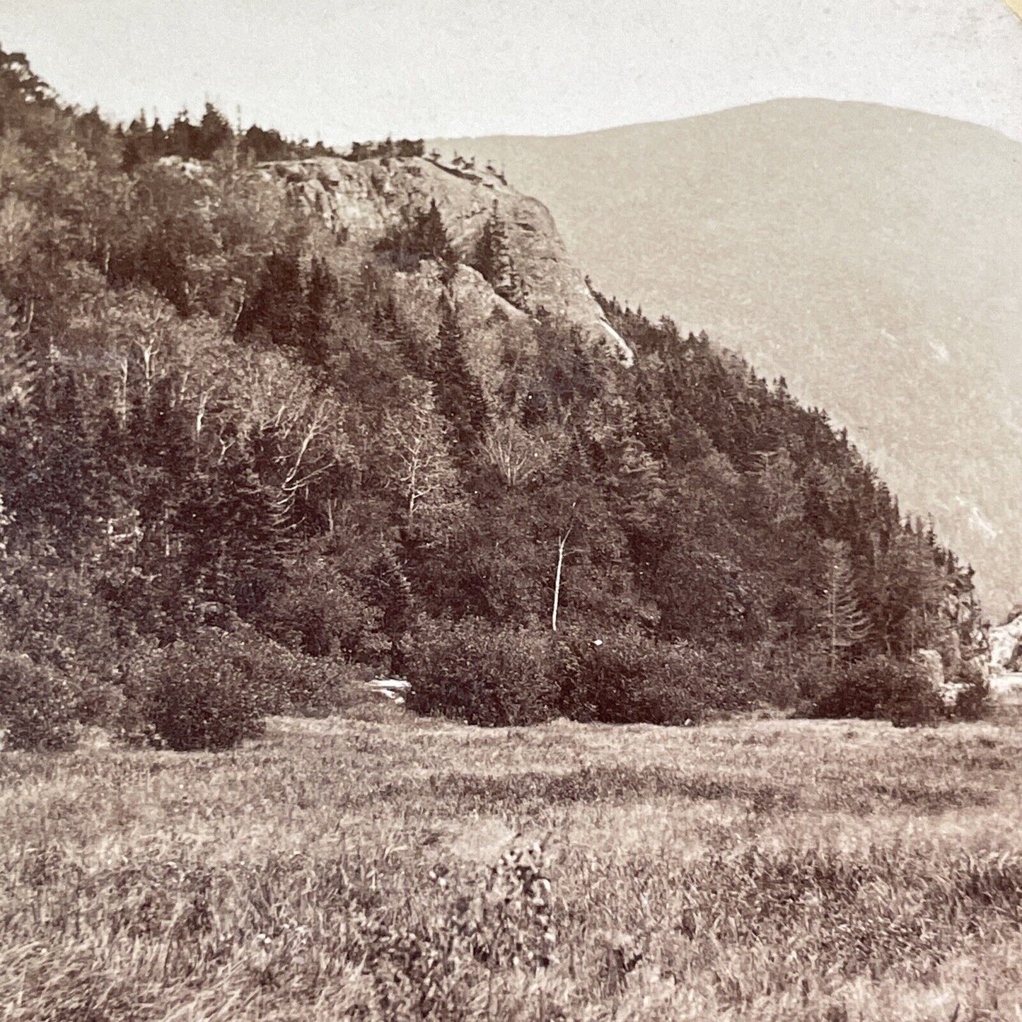 Elephant's Head New Hampshire Stereoview Near Crawford House Antique c1875 Y1479