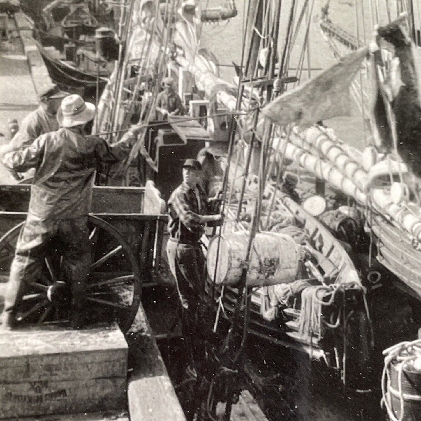 Antique 1906 Unloading Fish In Boston Harbor Stereoview Photo Card P1610