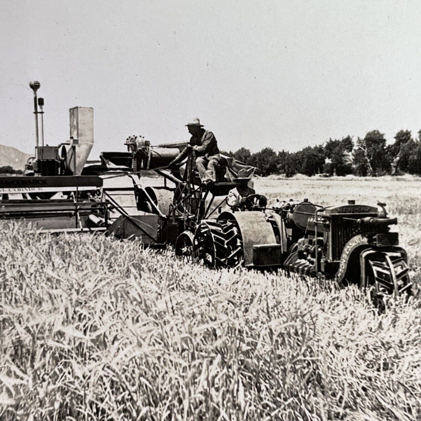 Antique 1918 Barley Farming Fort Collins Colorado Stereoview Photo Card P1626