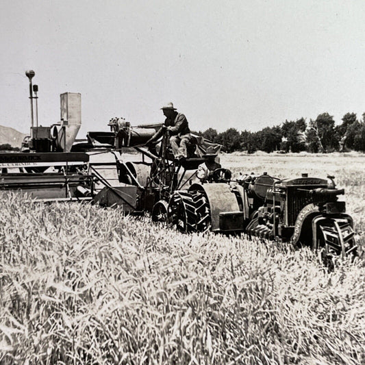 Antique 1918 Barley Farming Fort Collins Colorado Stereoview Photo Card P1626