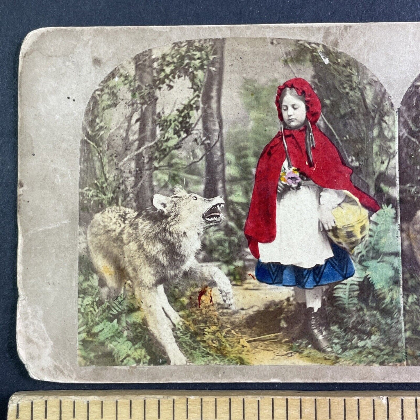 Little Red Riding Hood Stereoview Attributed To James Robinson c1859 Y1212