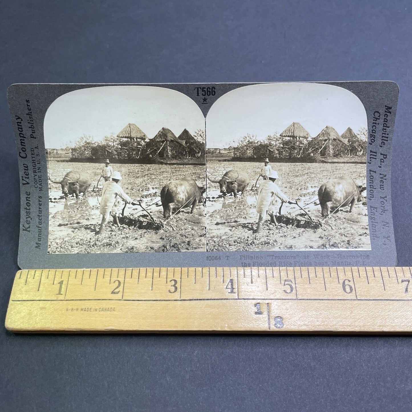 Antique 1918 Plowing With Buffalo Manila Philippines Stereoview Photo Card P1903