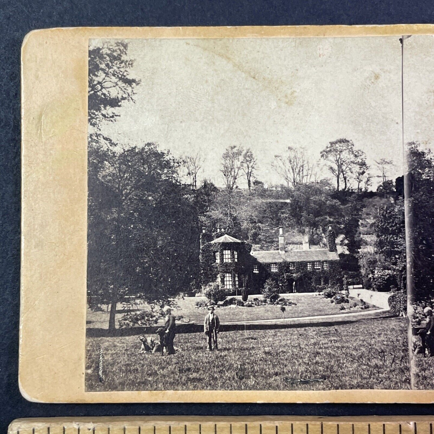 Rookery Cottage Mansion Ashford England UK Stereoview Antique c1880 X2595