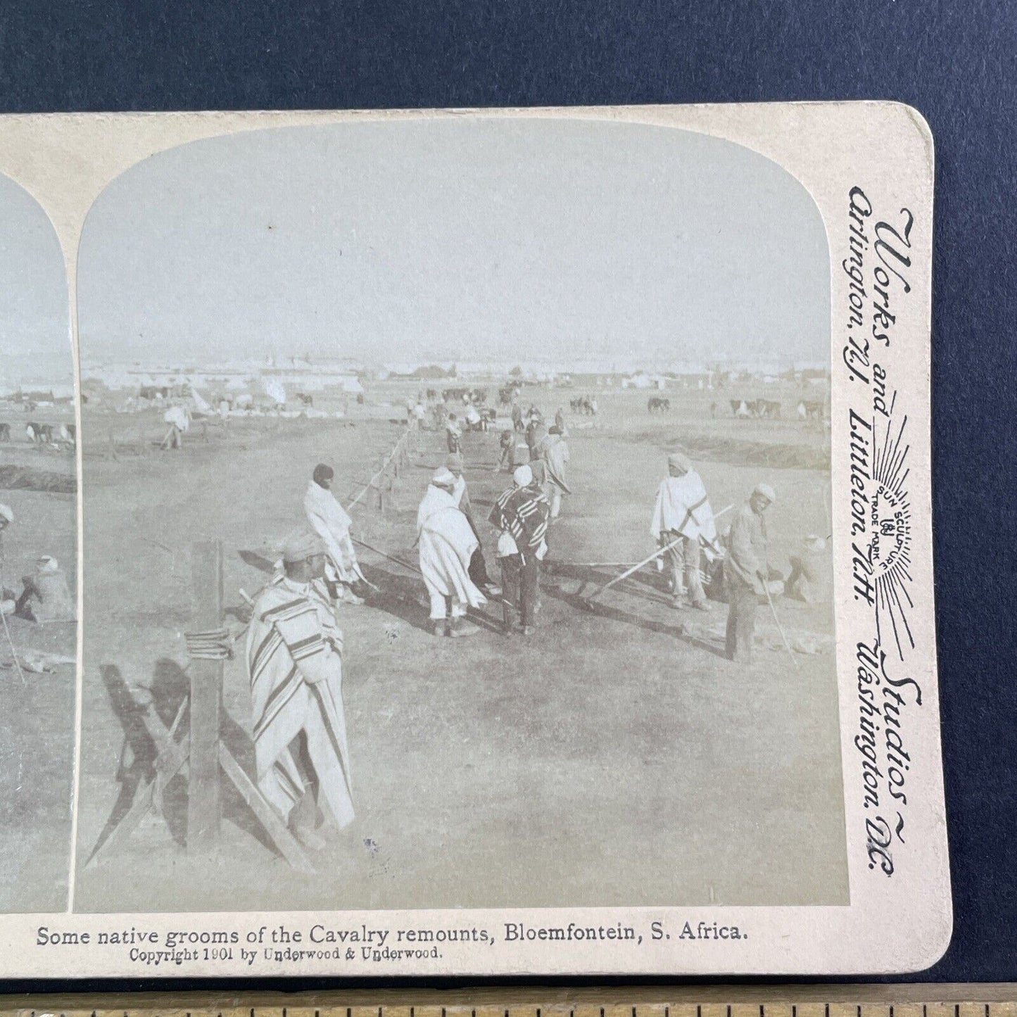 South Africa Men Prepare The Cavalry Stereoview Boer War Bloemfontein c1901 Y162