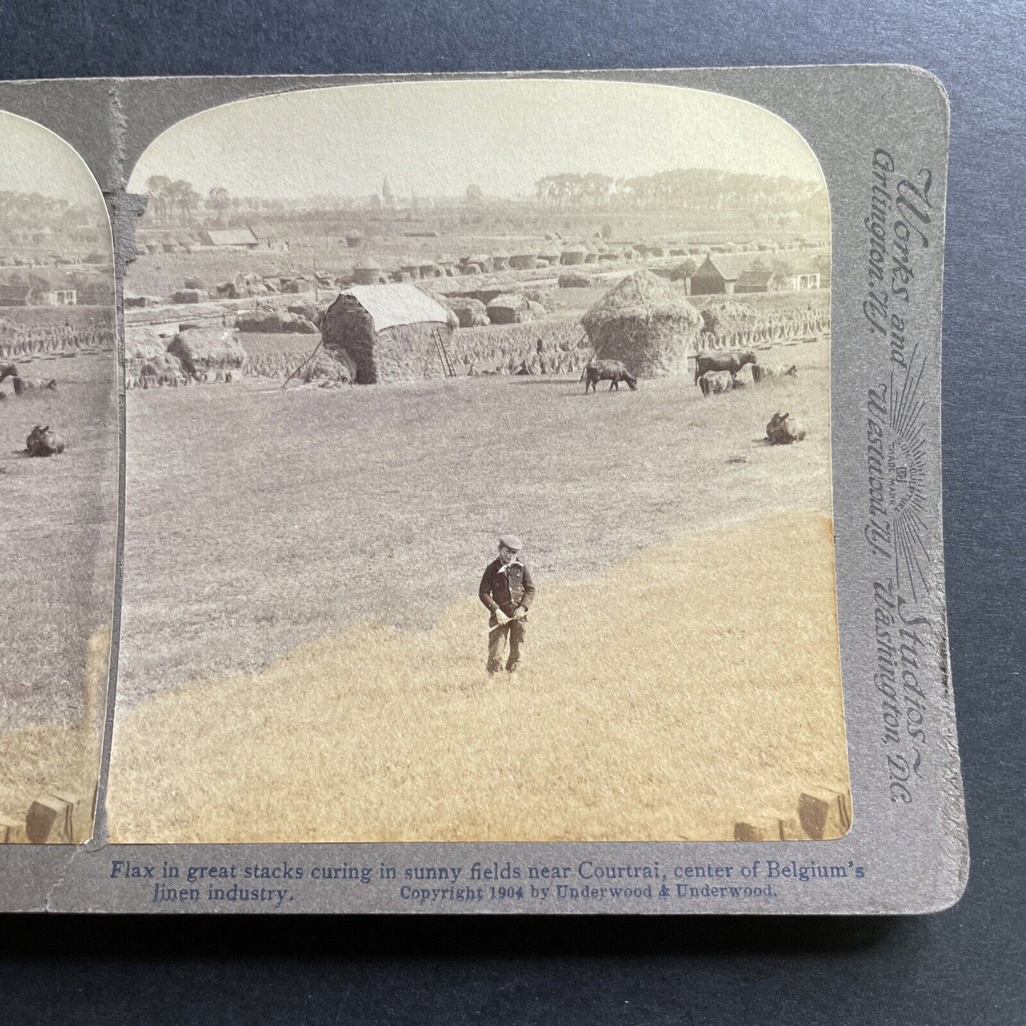 Antique 1904 Boy On Hay Farm Kortrijk Belgium Stereoview Photo Card P1471