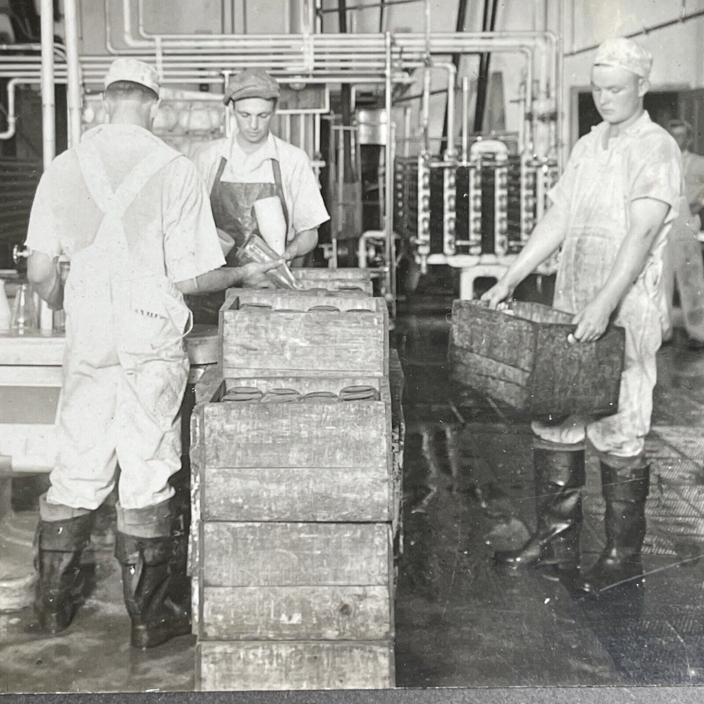 Antique 1920 Milk Bottling Factory Cohocton New York Stereoview Photo Card P1512