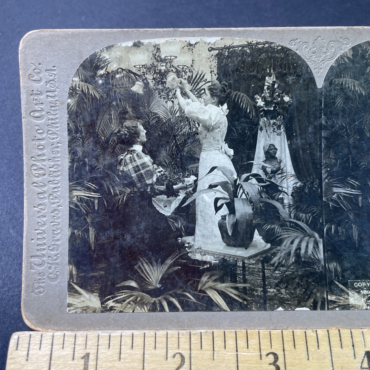 Antique 1897 Victorian Servants Decorate For Wedding Stereoview Photo Card P2970