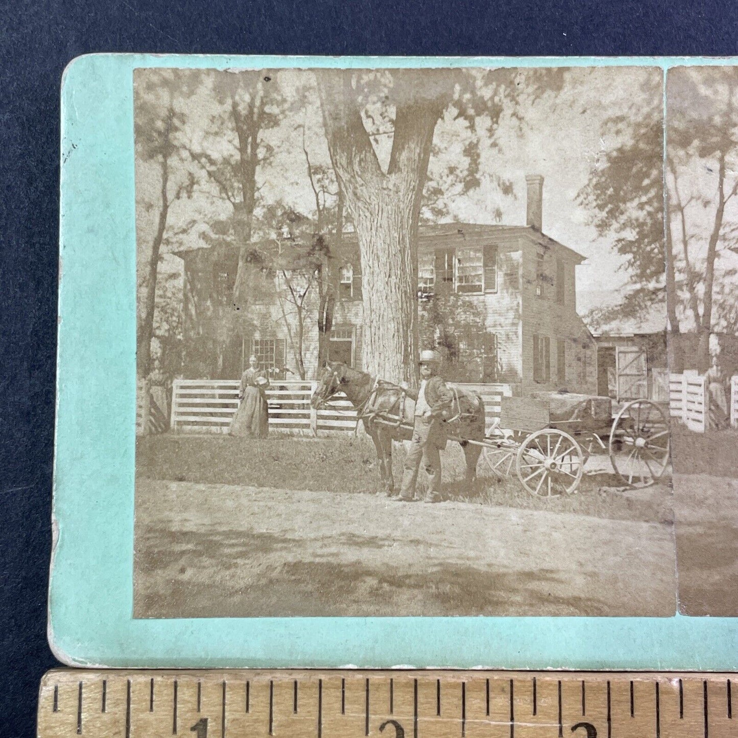 MC Harriman Self-Portrait Stereoview Mt Kearsarge Trip Antique c1875 X1218
