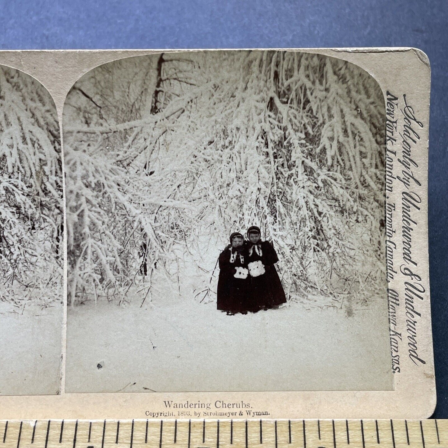 Antique 1893 Children Play In Snow New York State Stereoview Photo Card P2409