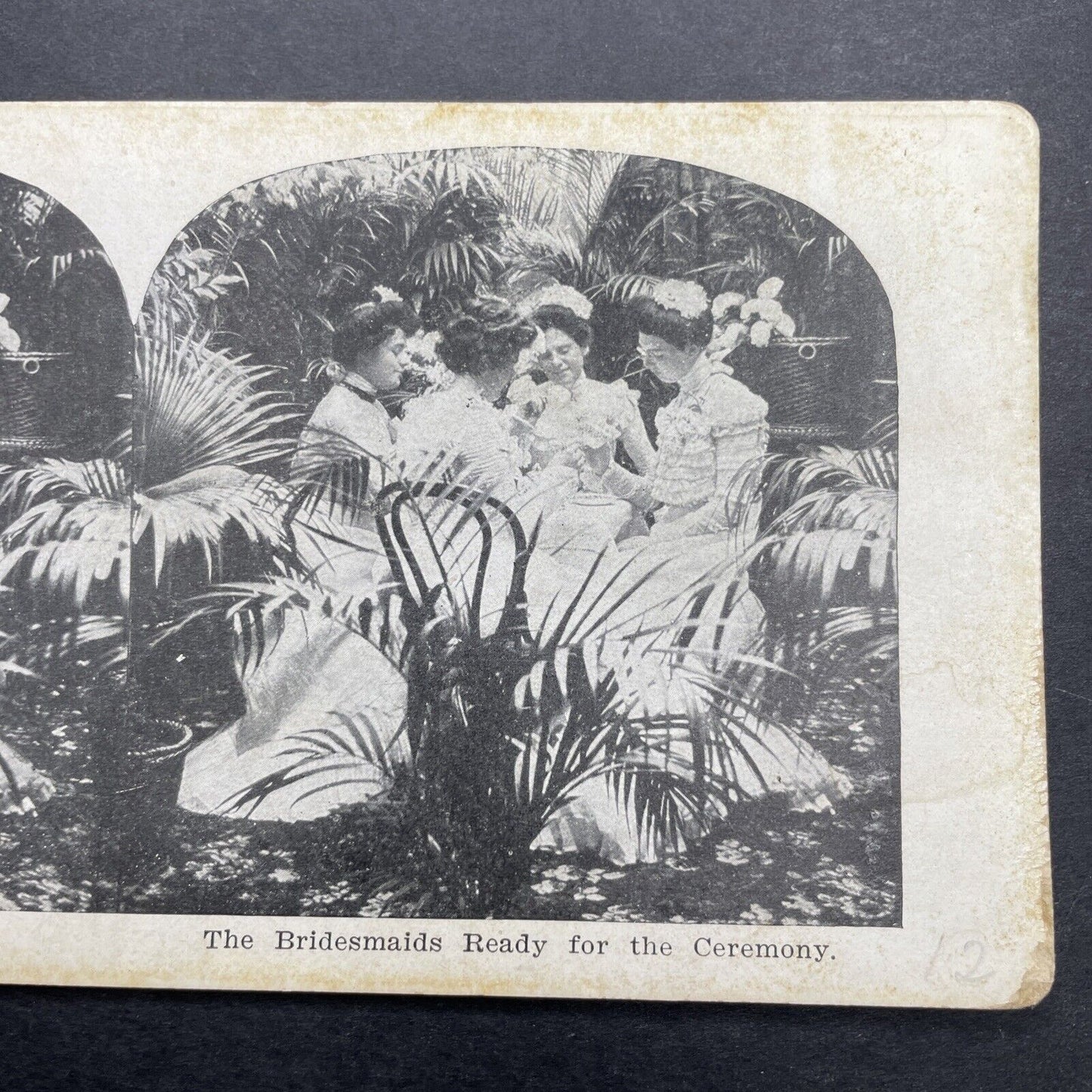 Antique 1905 Bridesmaids Having Tea Wedding Stereoview Photo Card P580-030