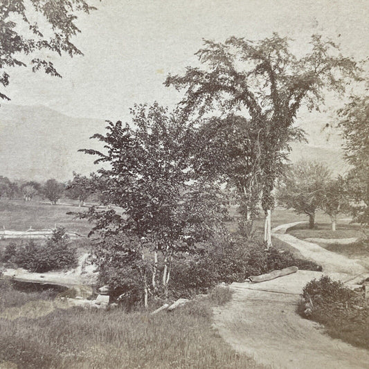 Antique 1870s Roadway In North Conway NH Stereoview Photo Card V2020