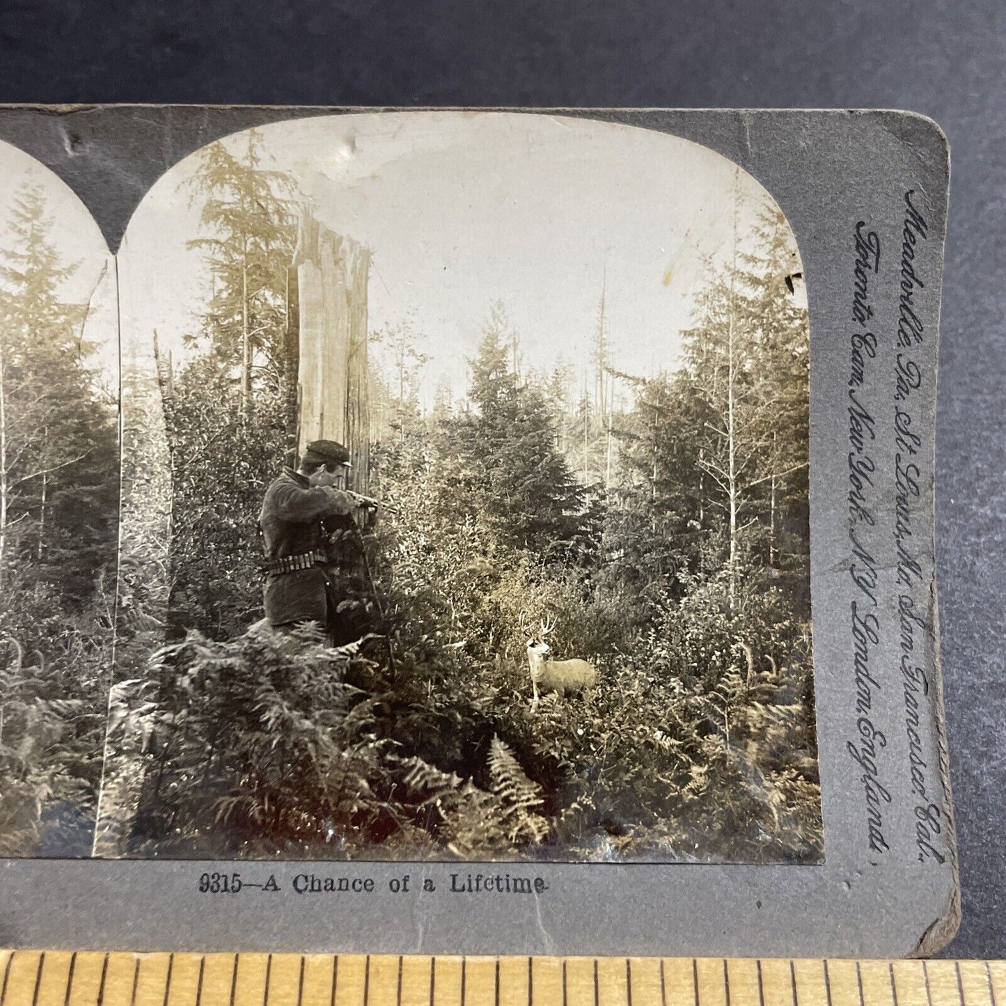 Antique 1898 Hunter Shoots A Buck Deer In Oregon Stereoview Photo Card P5090