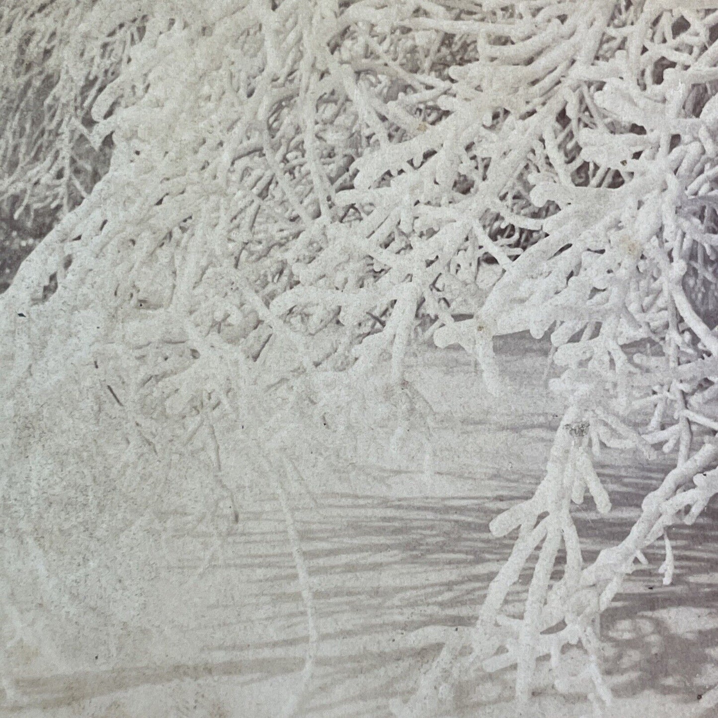 Frozen Trees on Luna Island Niagara Stereoview Charles Zimmerman c1870s Y2608