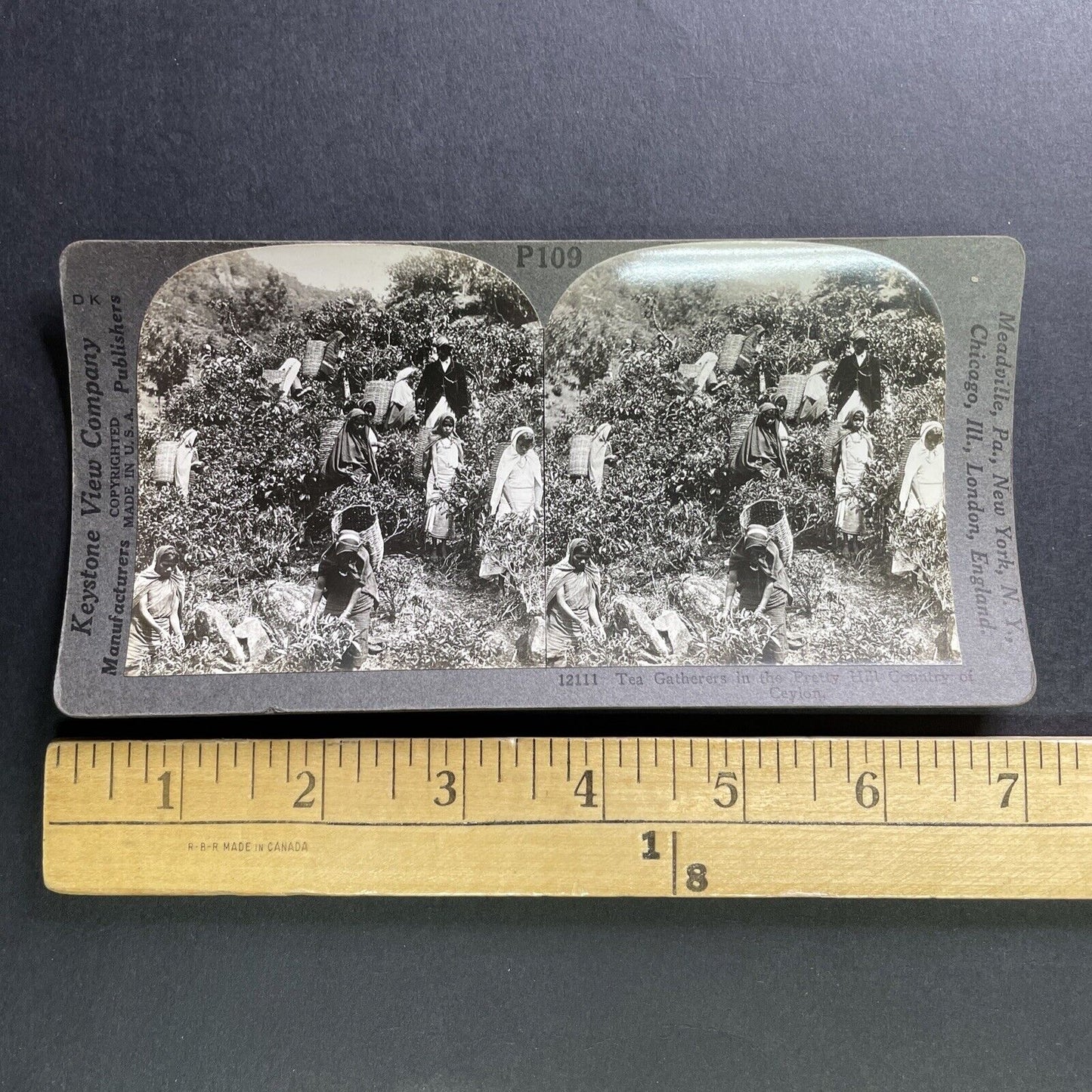 Antique 1909 Tea Farming In Sri Lanka Stereoview Photo Card P1755