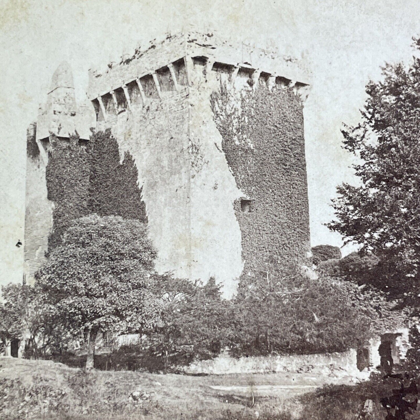 The Blarney Stone & Castle Stereoview Cork Ireland Antique c1870 X3595