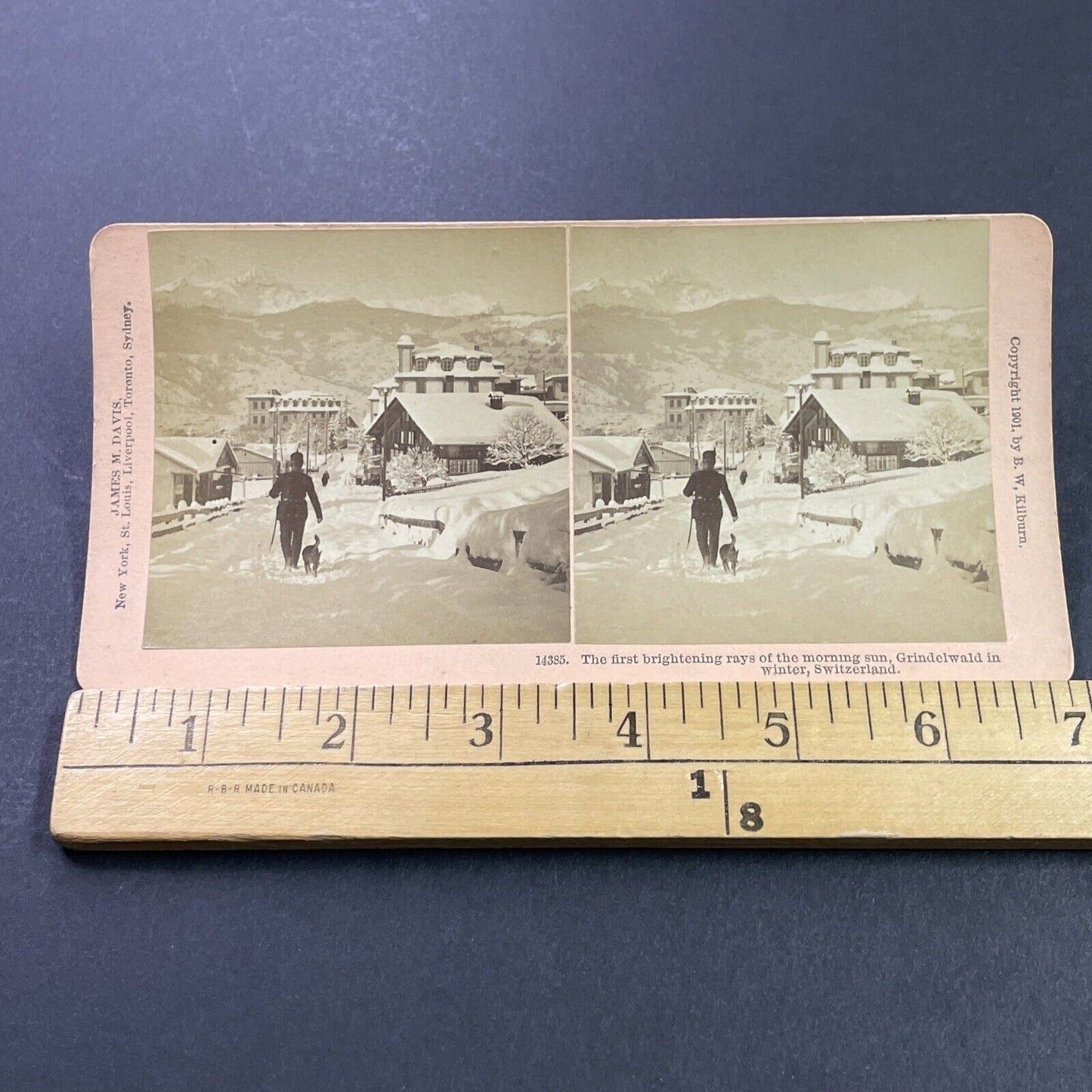 Antique 1901 Man Walks Dog In Deep Snow Switzerland Stereoview Photo Card P3954