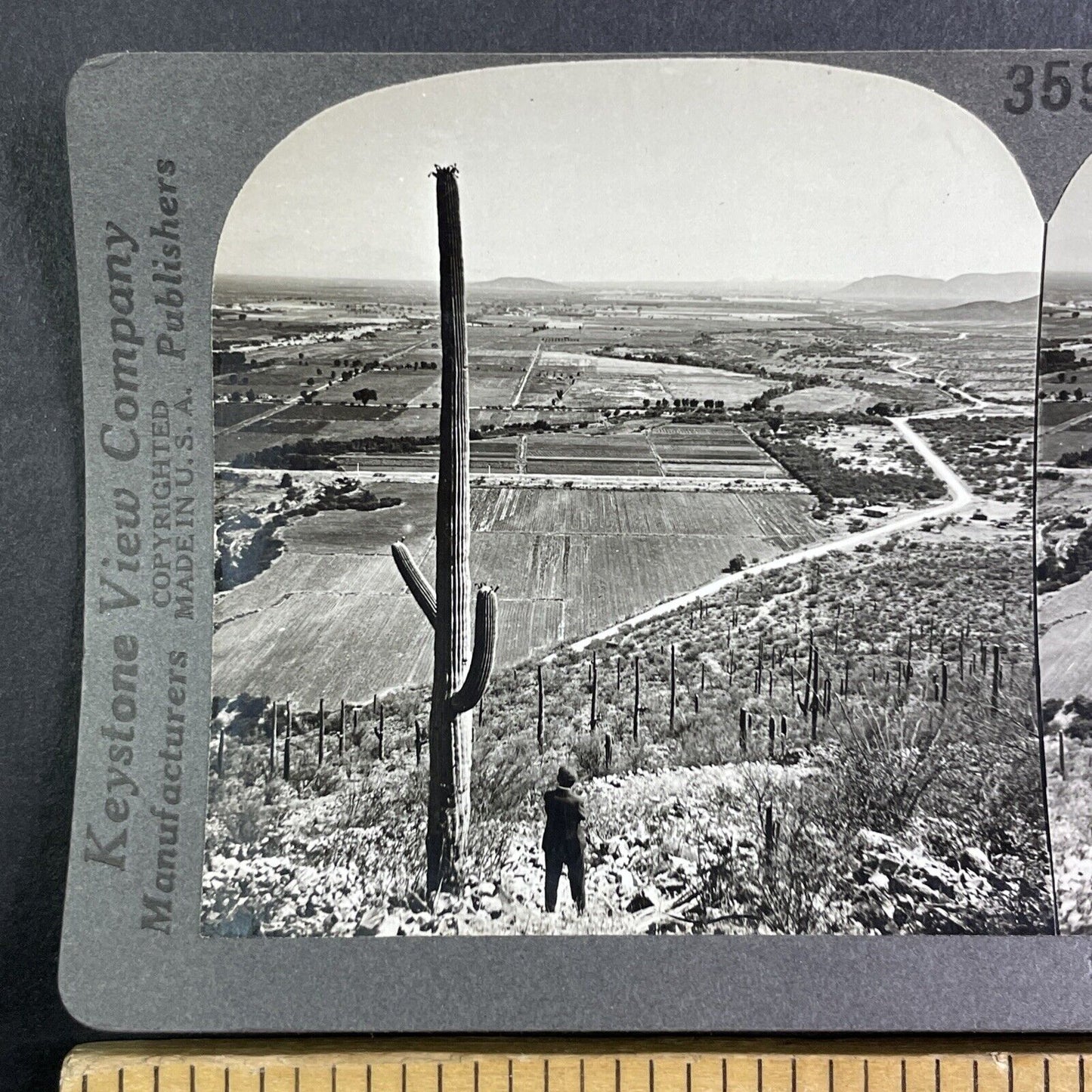 1890s Photo of Phoenix Arizona Stereoview Antique c1910 Y1188