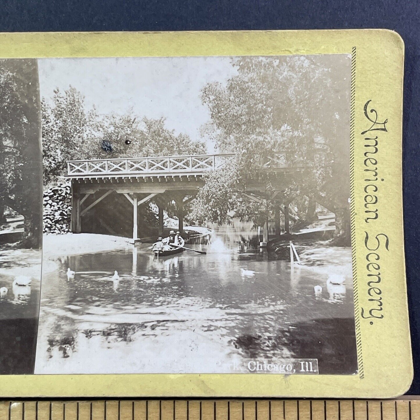 Humboldt Park Chicago Illinois Stereoview Rowing Photo Card Antique c1875 X1311