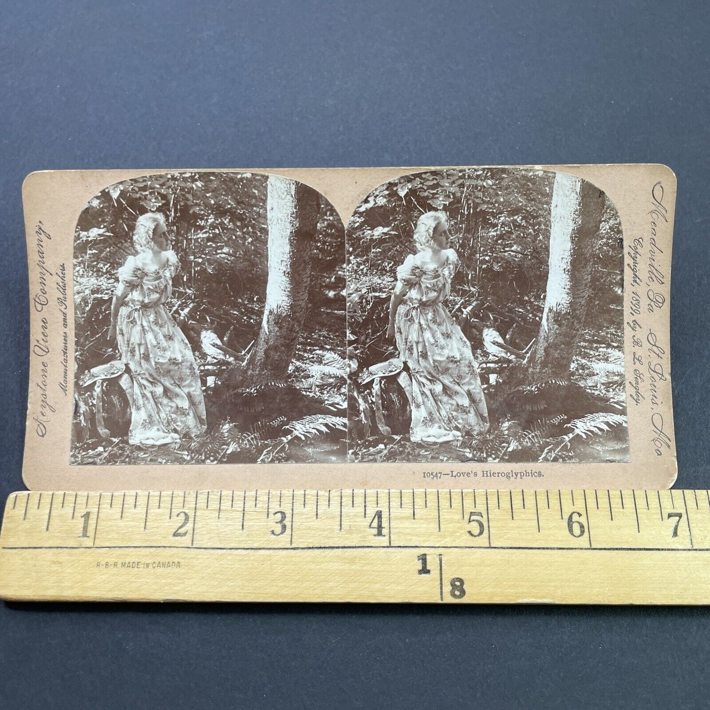 Antique 1899 Woman Sees Her Initials In Tree Stereoview Photo Card P2679