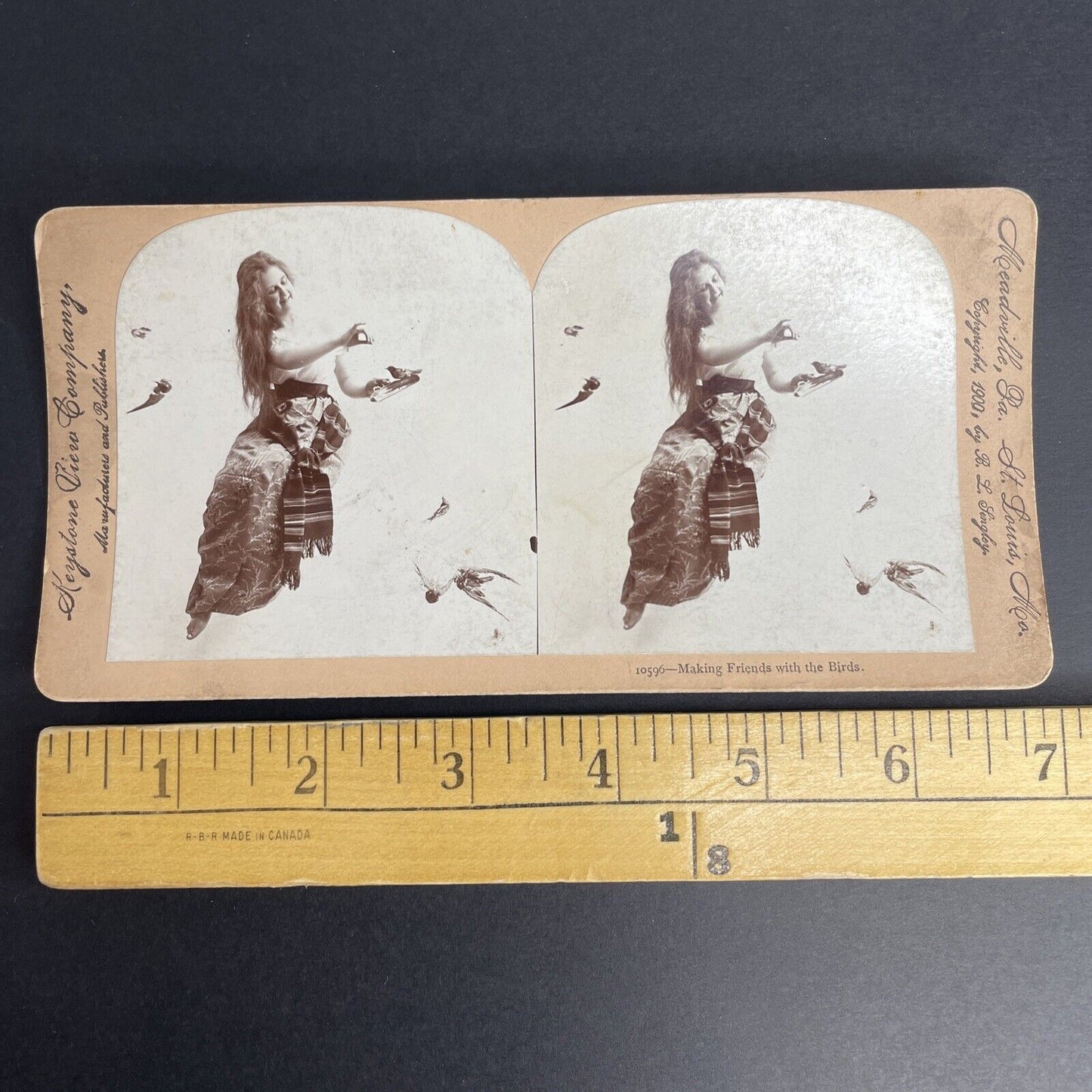 Antique 1900 Beauty Posing With Stuffed Birds Stereoview Photo Card PC784