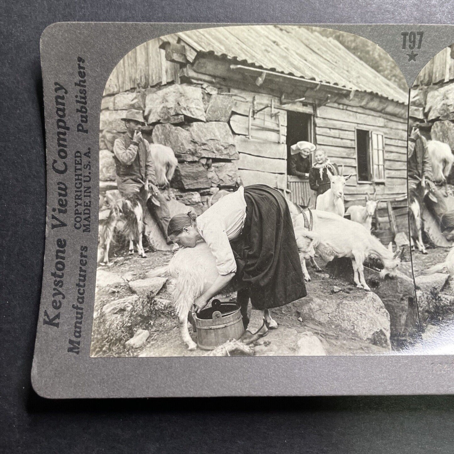 Antique 1918 Milking Goats In Hardanger Norway Stereoview Photo Card P1359