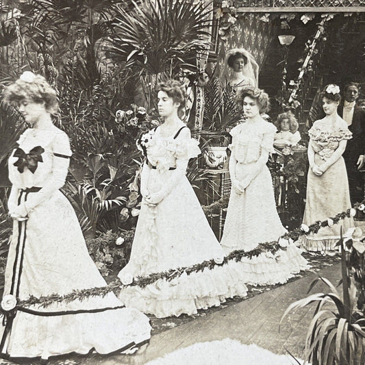 Antique 1902 Beautiful Bridesmaids At Wedding Stereoview Photo Card P2664