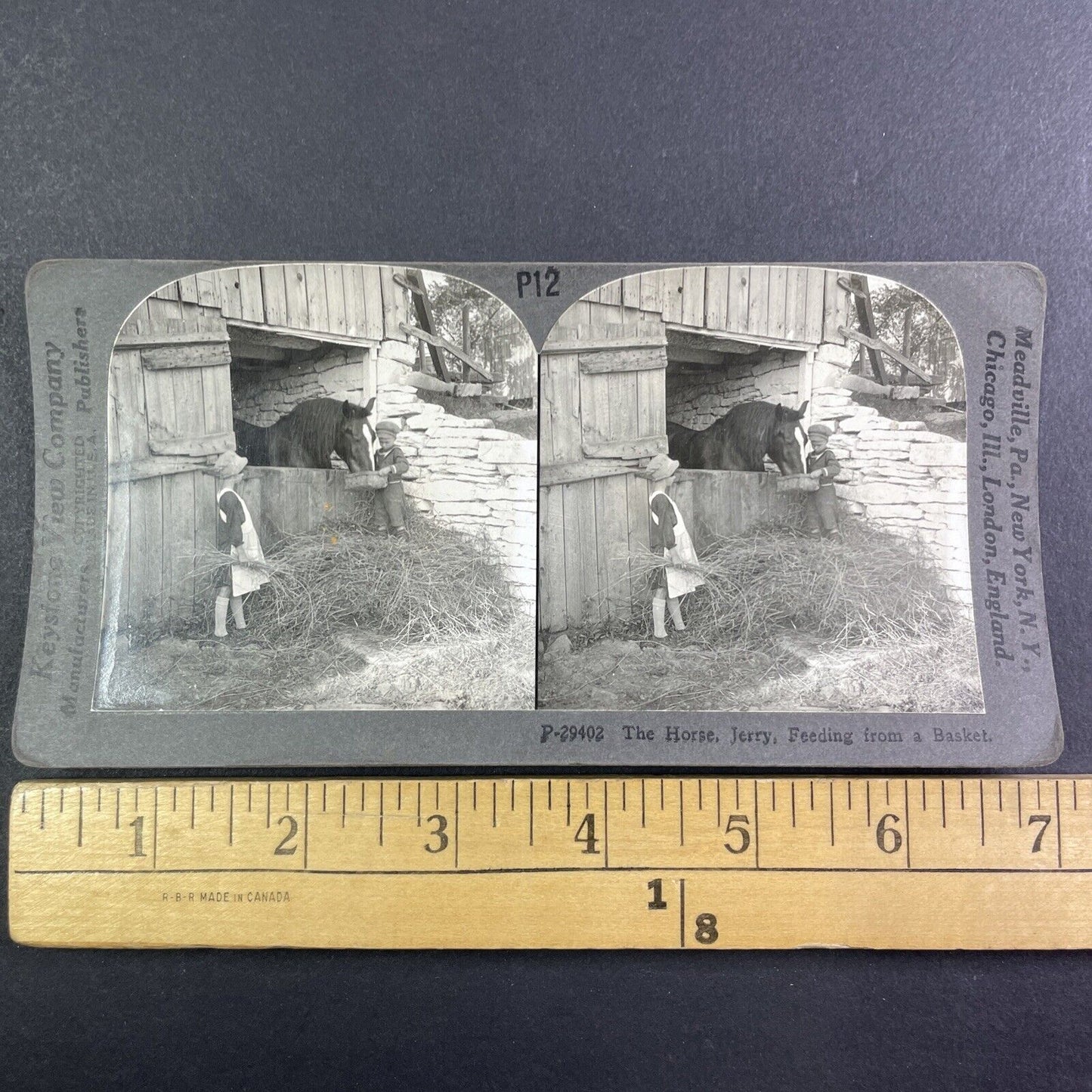 Children Feeding a Horse Stereoview Scarce Late View Antique c1935 Y1251