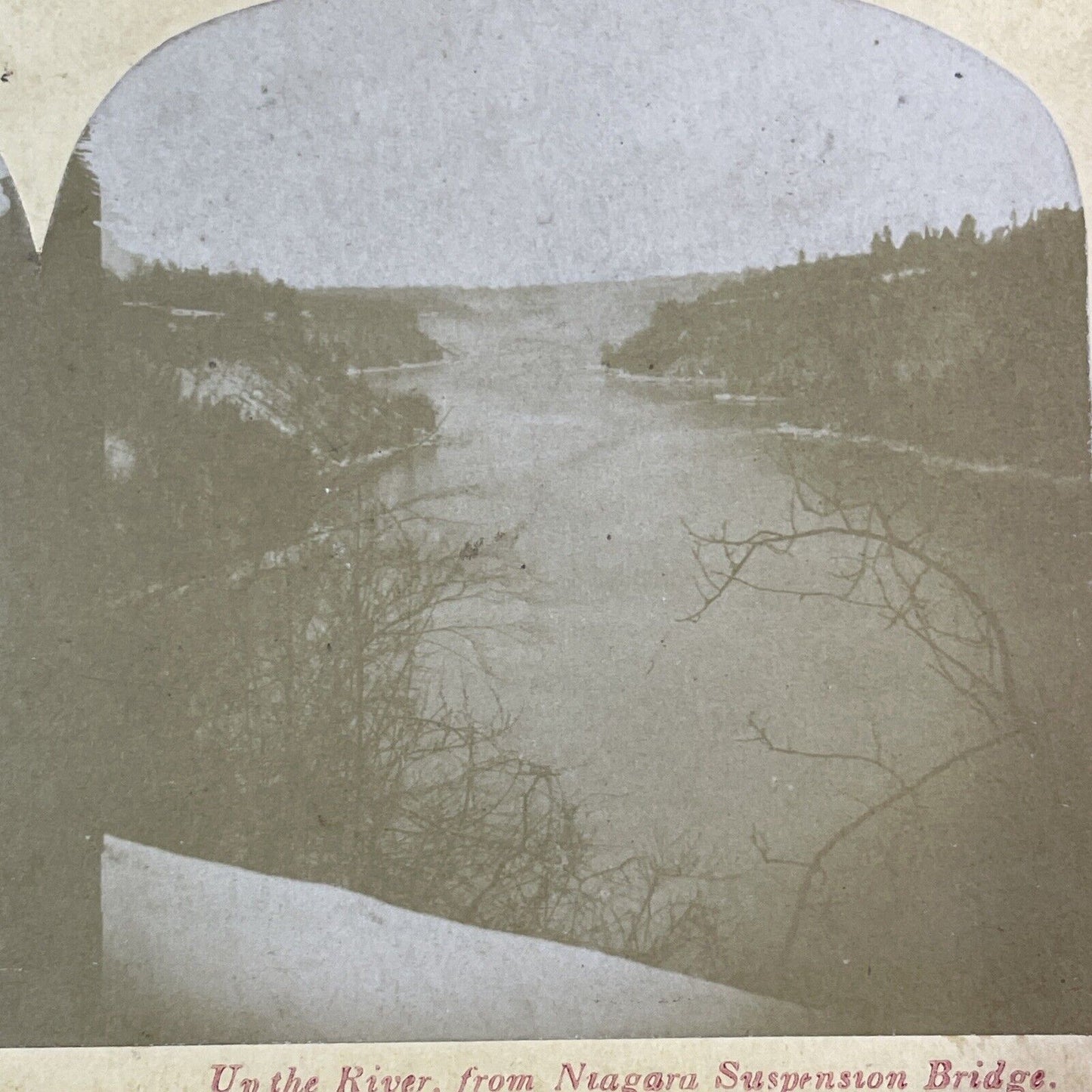 Niagara River Gorge From Suspension Bridge Stereoview Antique c1870s Y2551