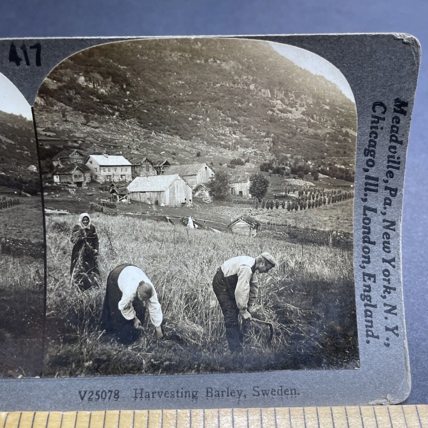 Antique 1910s Handcutting Barley Farm Rural Sweden Stereoview Photo Card P2028