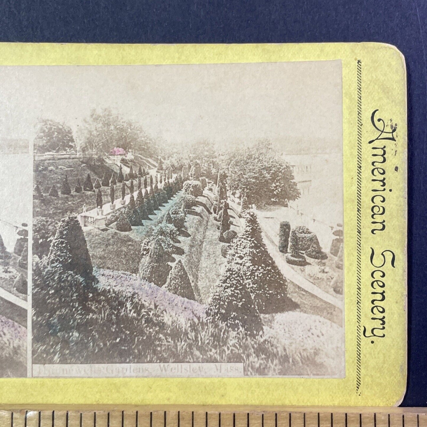 Hunnewell Estates Garden Wellesley MA Stereoview Photo Card Antique c1875 X1269