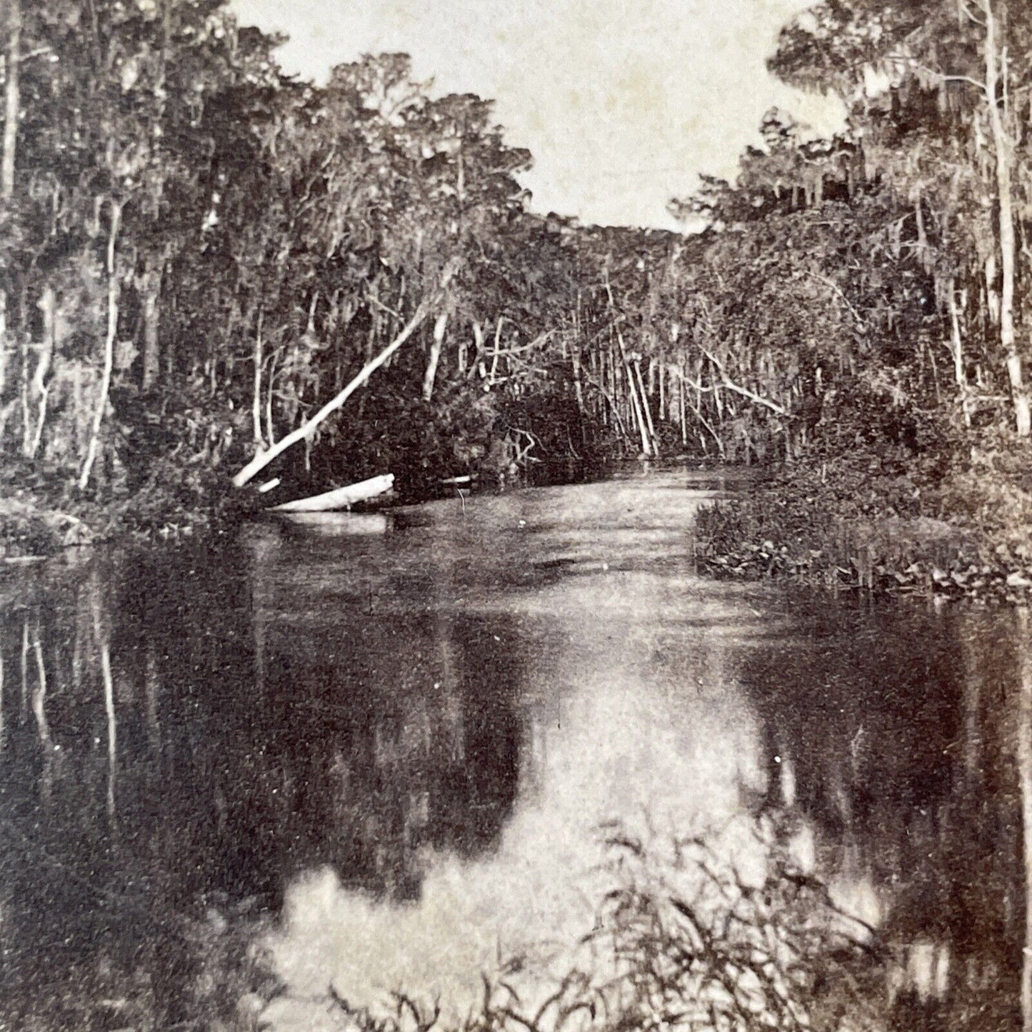 St. Johns River Devils Elbow Stereoview East Palatka Florida Antique c1870 Y065