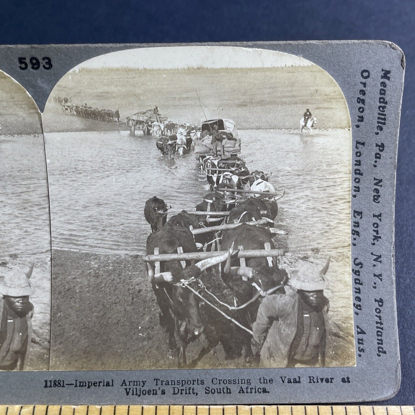 Antique 1900 Viljoensdrift Robertson South Africa Stereoview Photo Card P2140