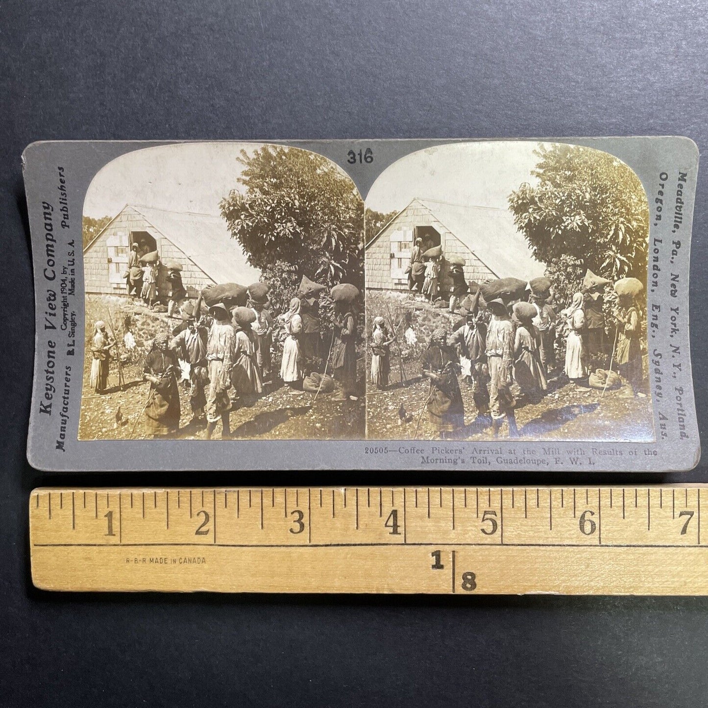 Antique 1904 Coffee Farmers Sell Beans Guadeloupe Stereoview Photo Card P1443