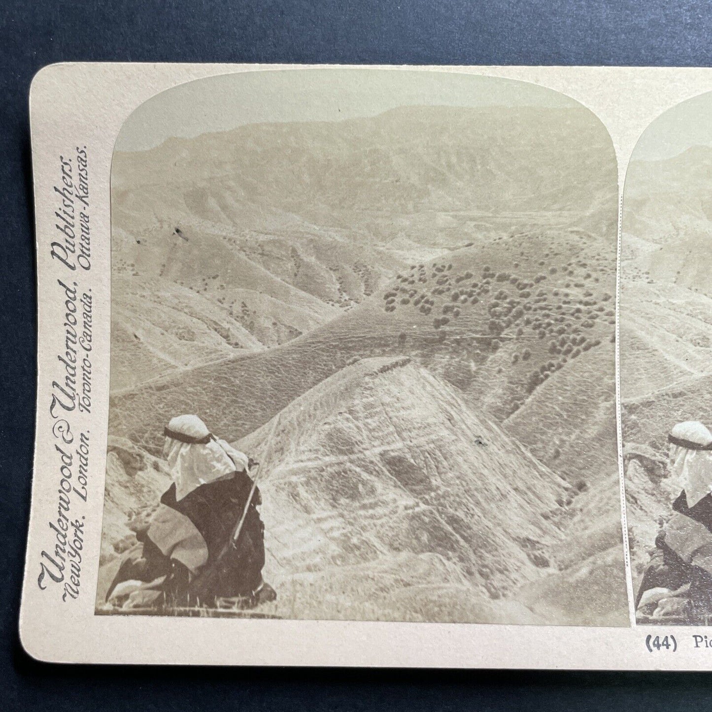 Antique 1900 Shepherd In Hills Of Israel Palestine Stereoview Photo Card P1336