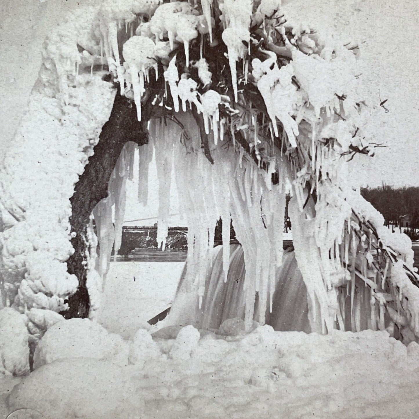 Niagara Falls Tree Frozen to Ground Stereoview Charles Bierstadt c1870s Y2243