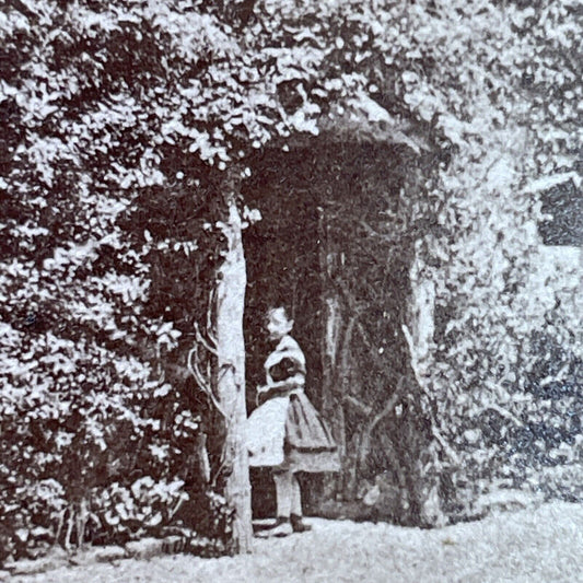 Antique 1880s 400 Year Old Home In England Stereoview Photo Card P2278