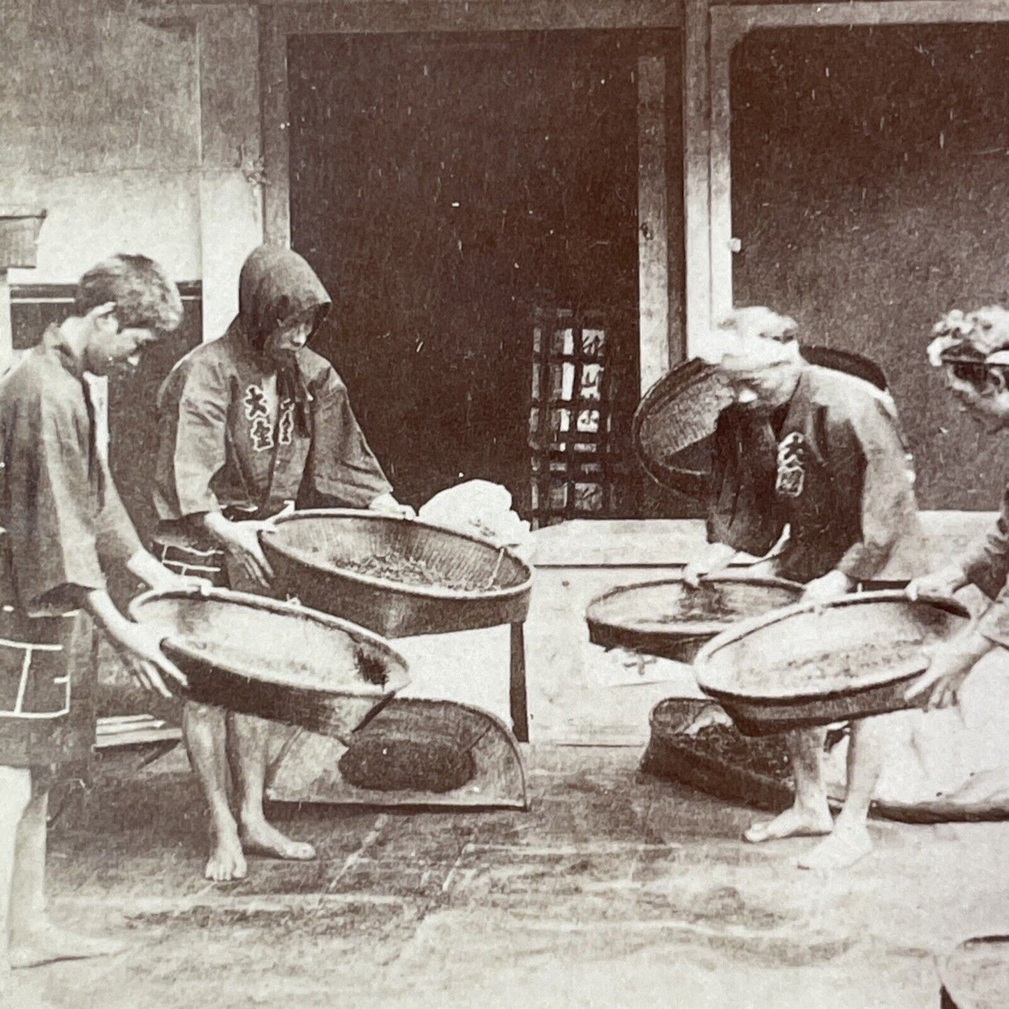 Japanese Tea Leaf Farmers Stereoview Kusakabe Kimbei Antique c1870 X3108 RARE