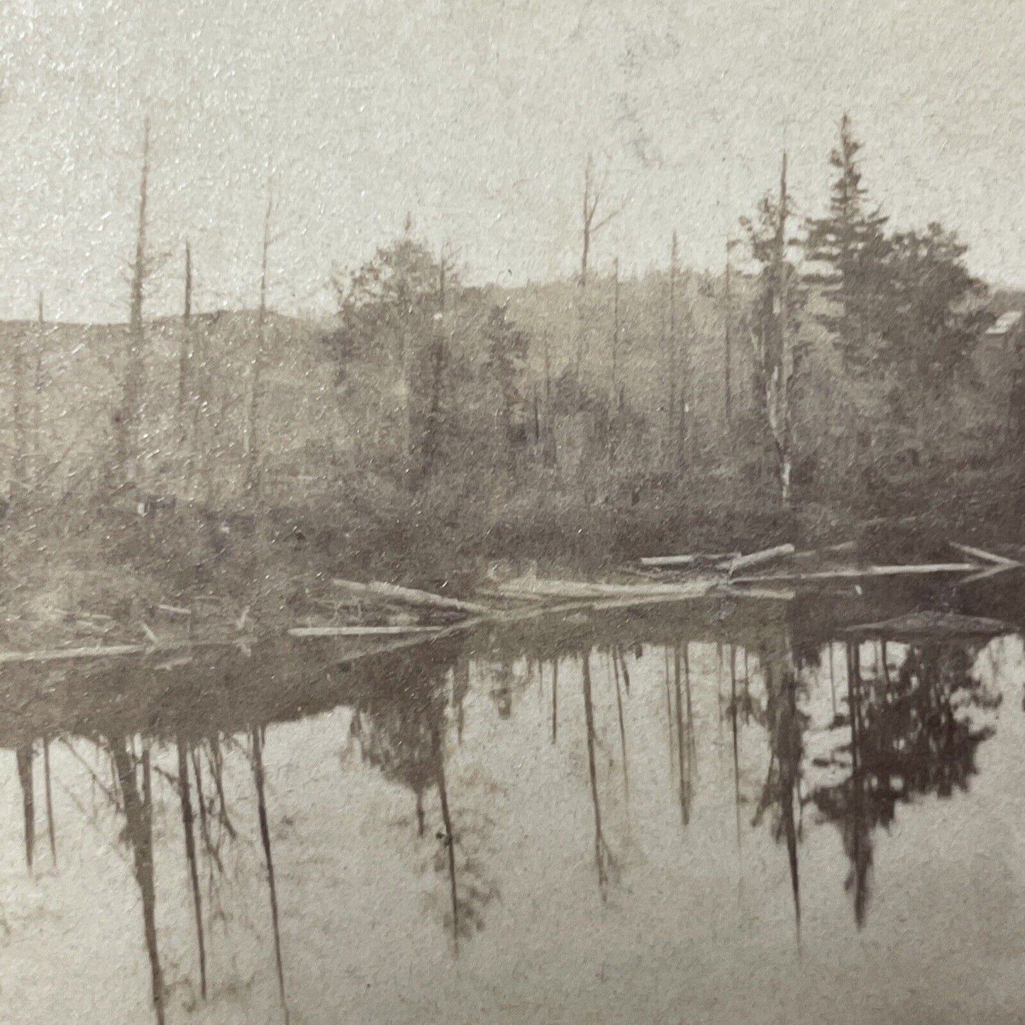 Antique 1903 Lake Placid The Great Forest Fire Of 03 Stereoview Photo Card Q2223
