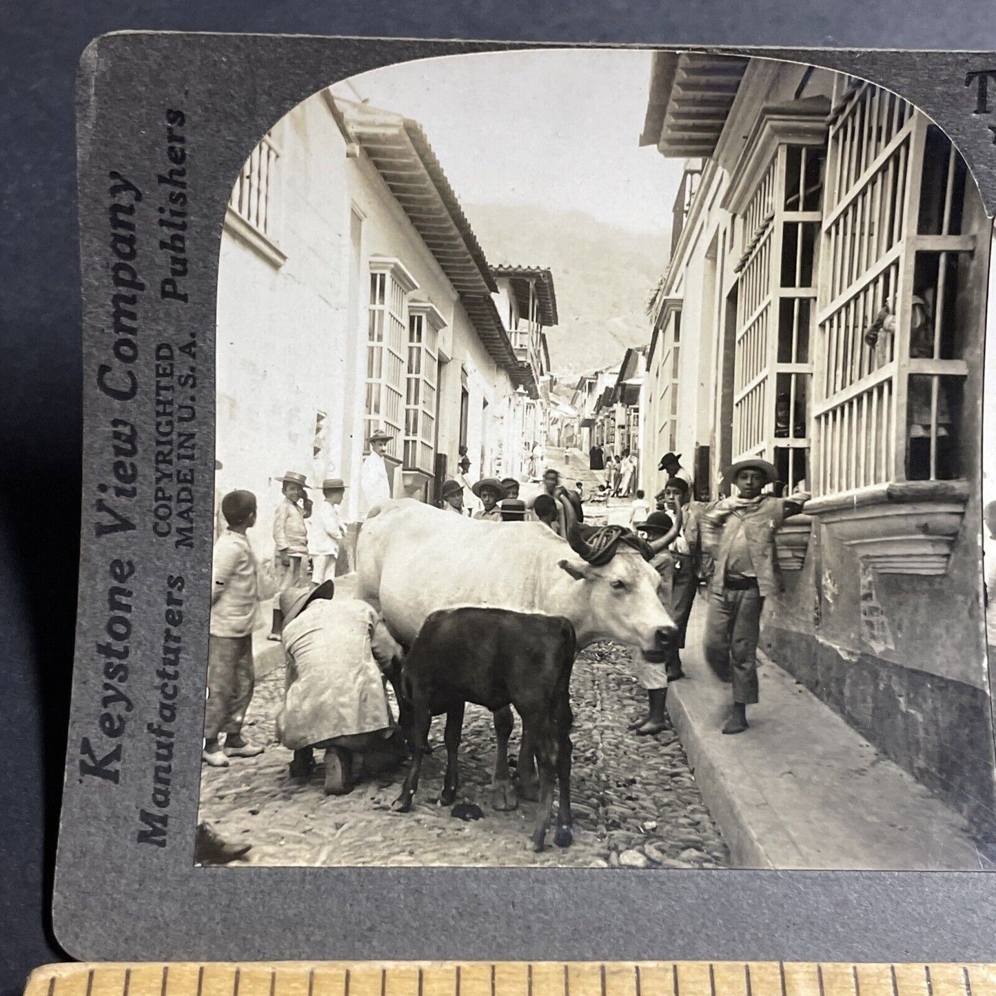 Antique 1910s Milking A Cow In Venezuela City Streets Stereoview Photo Card 5120