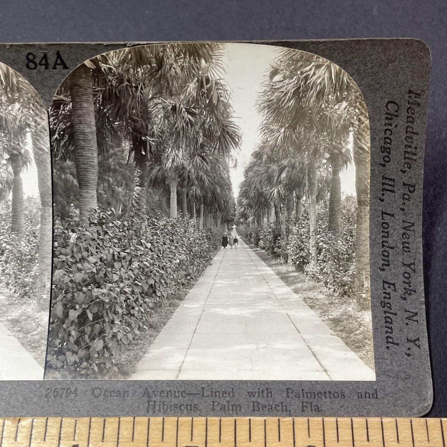 Antique 1910s Ocean Drive Palm Beach Florida Stereoview Photo Card V2174