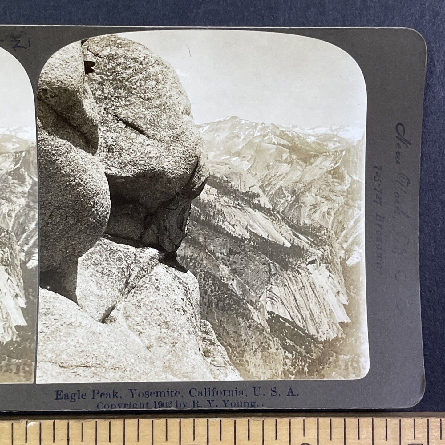 Eagle Peak Yosemite California Stereoview R.Y. Young Antique c1902 Y1028