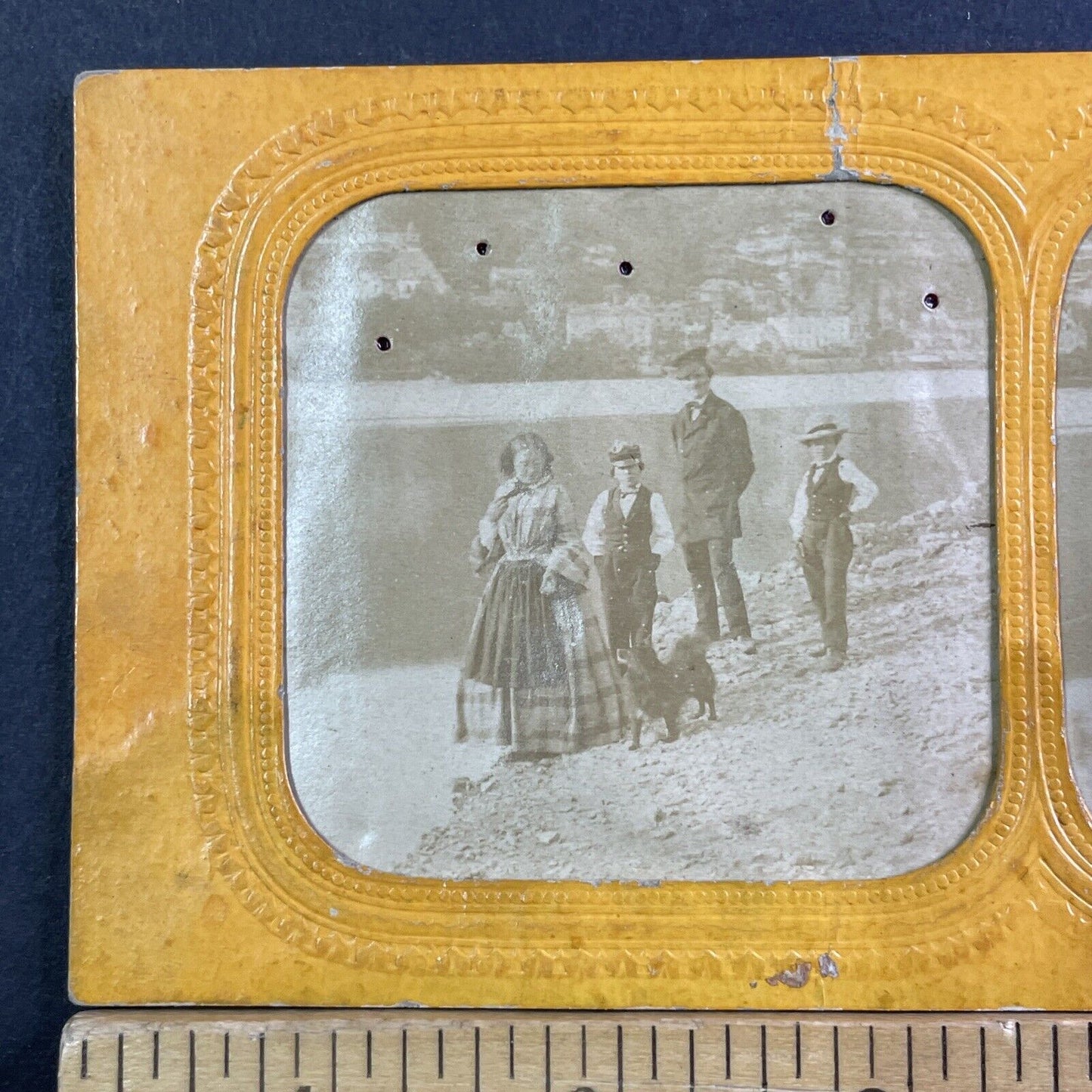 Family Plays Fetch With Dog Stereoview French Tissue Antique c1850s XT2114