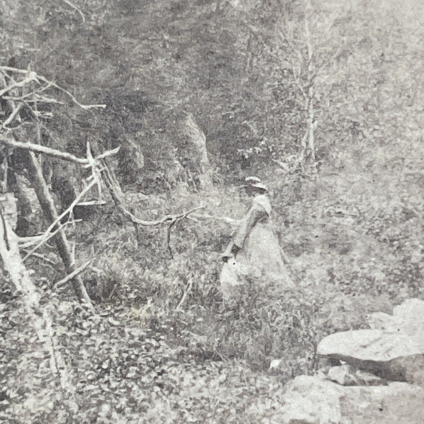 Entrance To Franconia Notch NH Stereoview Charles Bierstadt Antique c1870 X981