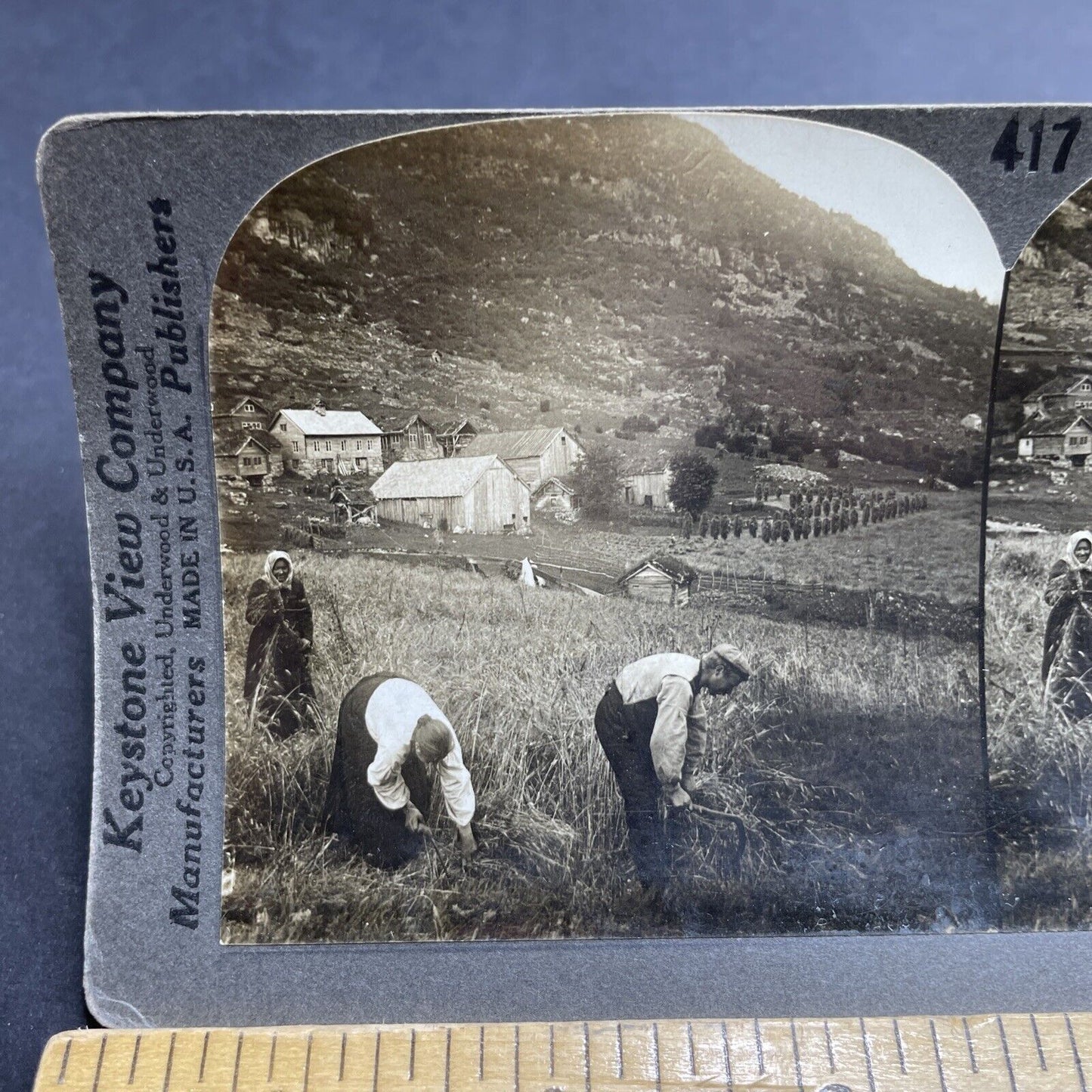 Antique 1910s Handcutting Barley Farm Rural Sweden Stereoview Photo Card P2028