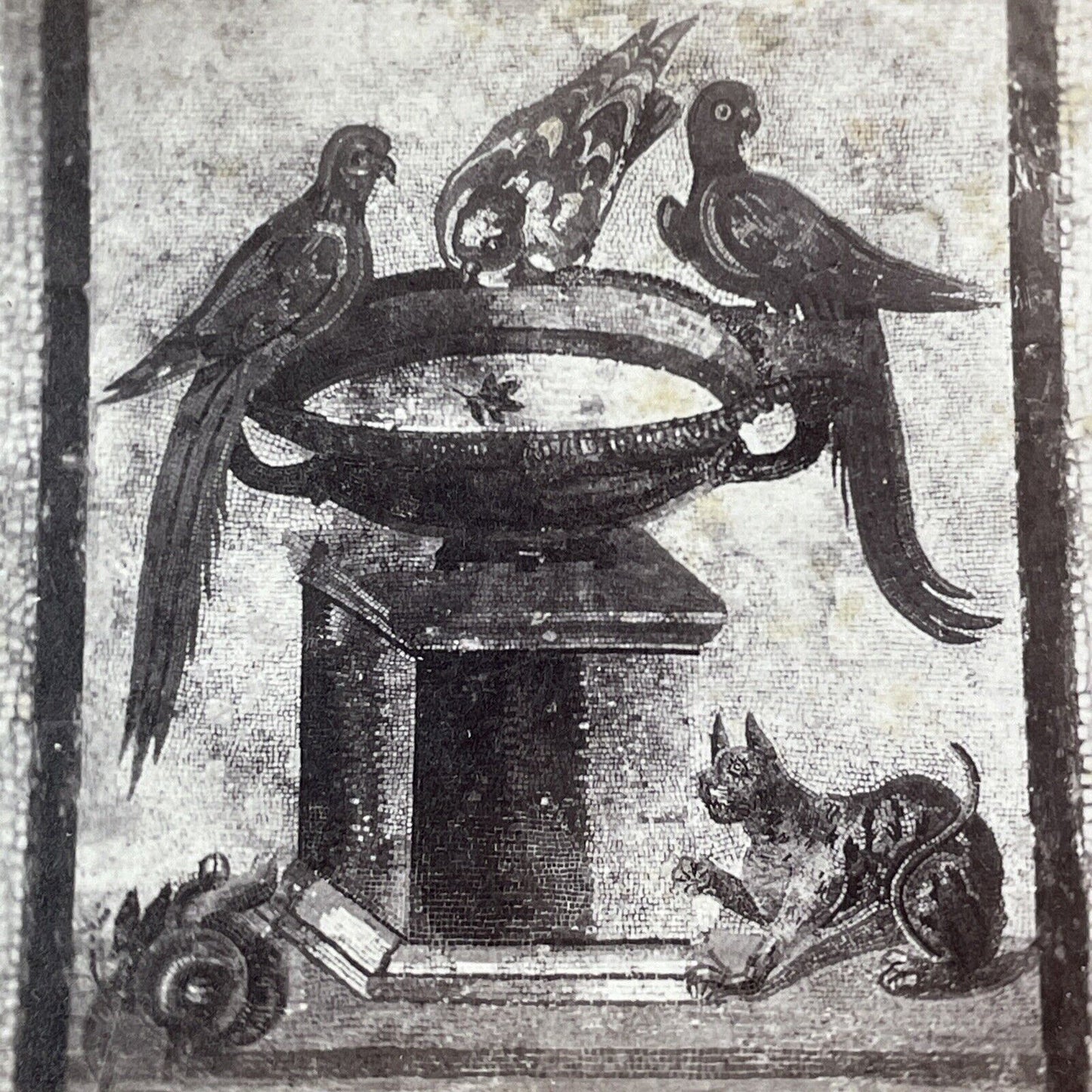 Parrots Drinking At Fountain Stereoview Pompeii Art Sommer & Behles c1870 X3746