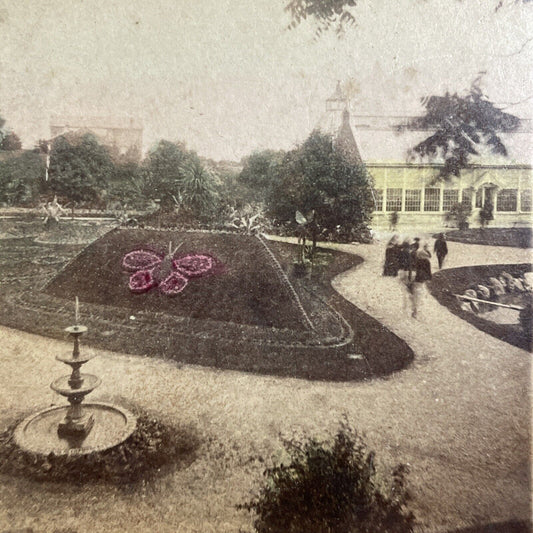 Antique 1870s Butterfly Gardens Boston Massachusetts Stereoview Photo Card P4891