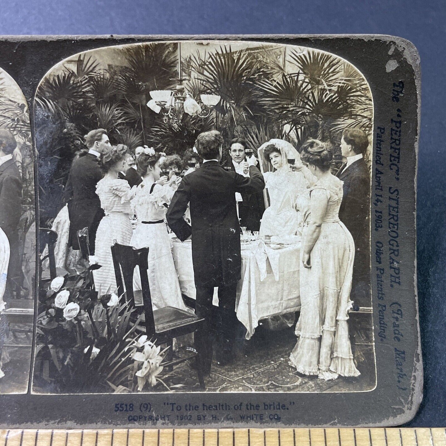 Antique 1902 A Wine Toast At Wedding Dinner Stereoview Photo Card P2888