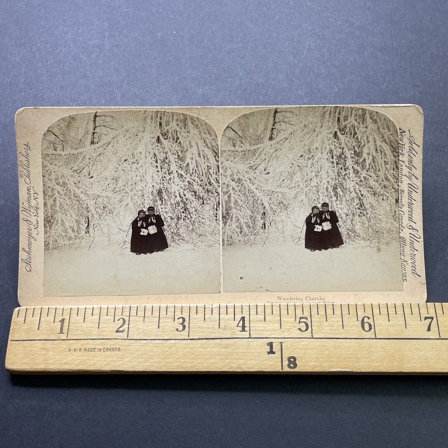 Antique 1893 Children Play In Snow New York State Stereoview Photo Card P2409